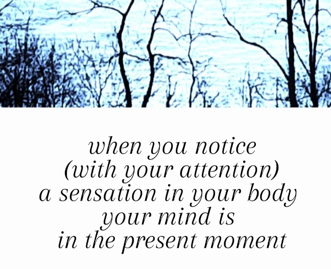 Sessions are 60 minutes.*° Each one is unique, specifically for you and what is going on for you that day. Sessions may include Distant CranioSacral, Somatic Coaching, Guided Relaxation, Feldenkrais, Continuum Movement, Intuitive Reading, Reiki, Energy Clearing, EFT tapping, Yoga, acupressure demonstration and other modalities.  *There is a longer session (2 1/2 hours) which is encouraged for SomatoEmotional Release Work and for facilitating more lasting change 