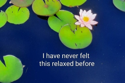 Testimonials about Aldene Etter CranioSacral Therapist and lifecoach with photo of lotus pond from Penn State Arboretum 