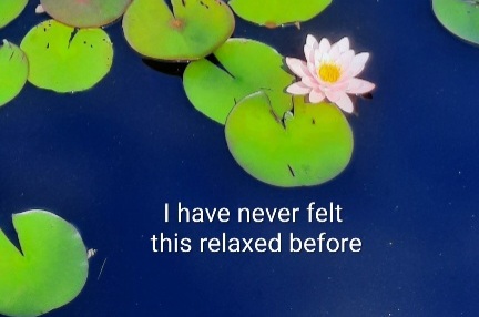 Testimonial from a London, UK client for international CranioSacral Therapist and lifecoach, Aldene Etter with photo of lotus pond from Penn State Arboretum in State College pennsylvania 