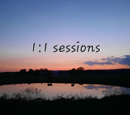 1:1 sessions with Aldene Etter craniosacral Therapist and lifecoach in Pennsylvania 