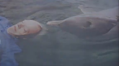 CranioSacral dolphin supportef