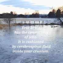 ice and info on brain and cerebralspinal fluid posted by Aldene Etter craniosacral therapist and lifecoach in state college, pa and shepherdstown wv